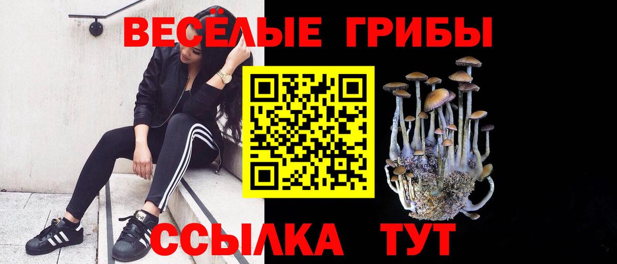 Краснознаменск  Псилоцибиновые грибы ЛСД  Вход с VPN 